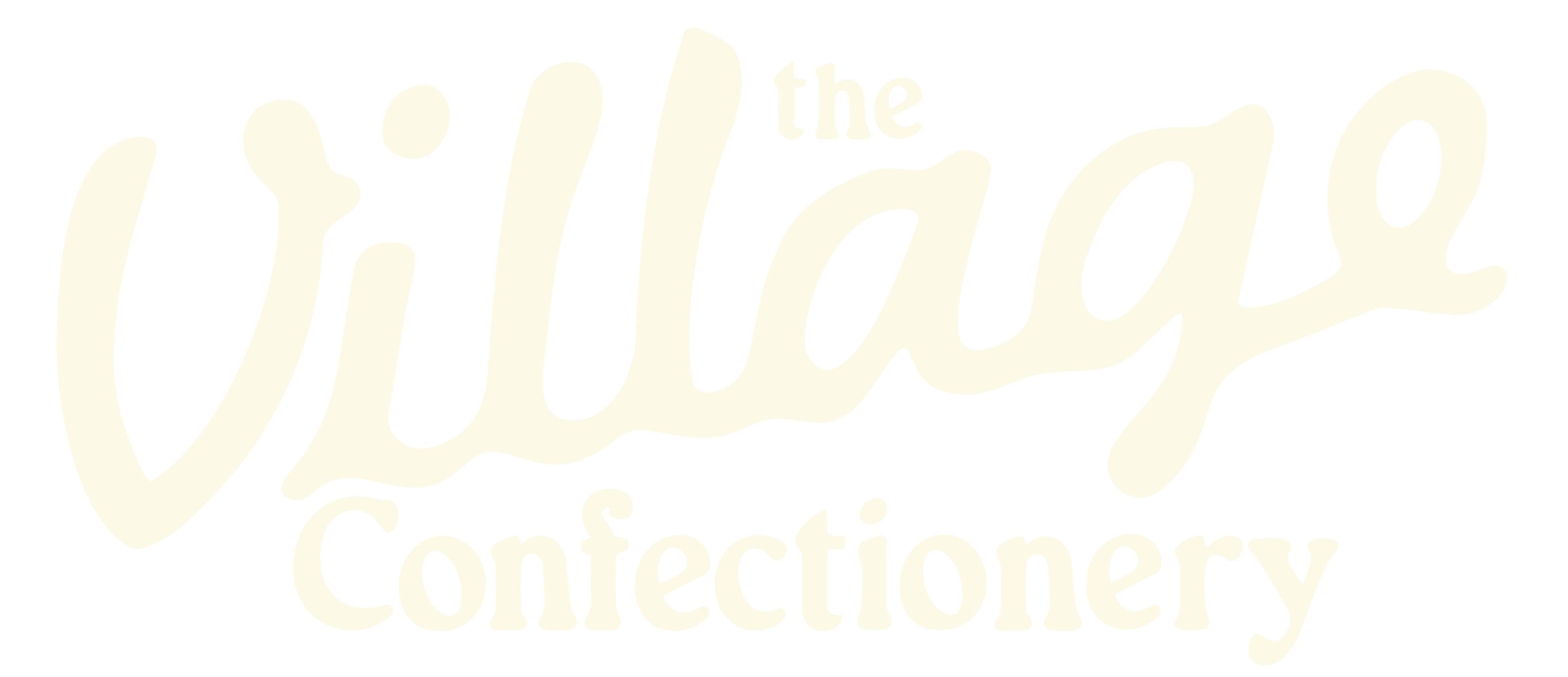 The Village Confectionery